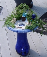 Bird Bath Garden