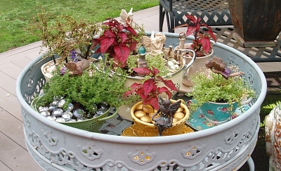 Tea Cup Garden