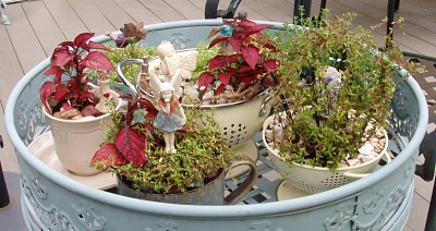 Tea Cup Garden