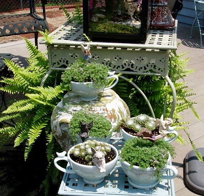 Tea Cup Garden