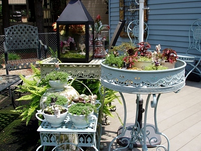 Tea Cup Garden