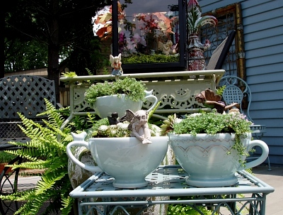 Tea Cup Garden